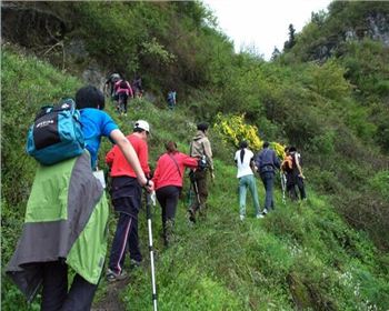 成都透水地坪公司