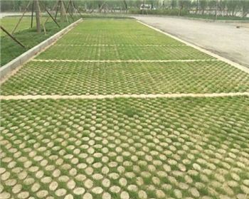 成都植草世界杯官网入口app(China)官方网站