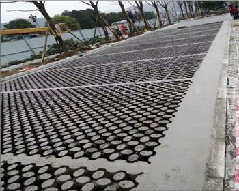 四川植草世界杯官网入口app(China)官方网站