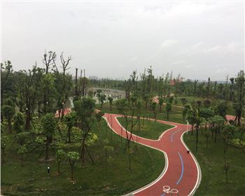 遂宁透水世界杯官网入口app(China)官方网站