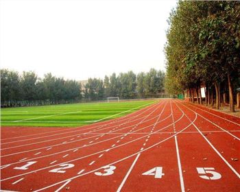 成都塑胶篮球场施工