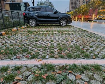 德阳高承载植草世界杯官网入口app(China)官方网站 德阳高承载植草世界杯官网入口app(China)官方网站