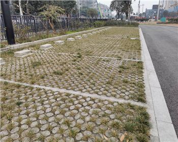 德阳生态植草世界杯官网入口app(China)官方网站 德阳生态植草世界杯官网入口app(China)官方网站